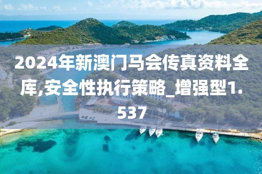 2024年新澳门马会传真资料全库,安全性执行策略_增强型1.537