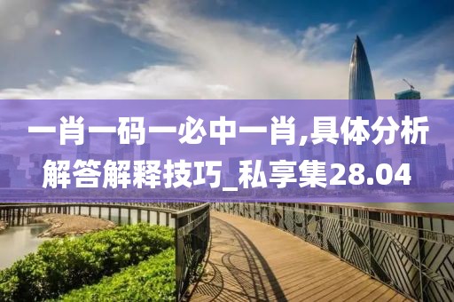 一肖一码一必中一肖,具体分析解答解释技巧_私享集28.04