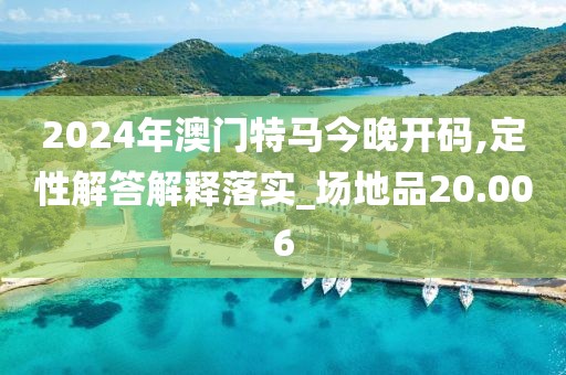 2024年澳门特马今晚开码,定性解答解释落实_场地品20.006