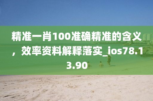 精准一肖100准确精准的含义，效率资料解释落实_ios78.13.90