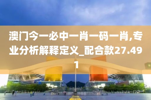 澳门今一必中一肖一码一肖,专业分析解释定义_配合款27.491