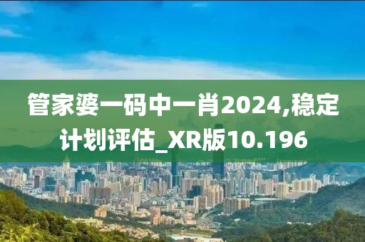 管家婆一码中一肖2024,稳定计划评估_XR版10.196
