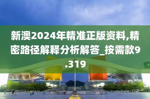 新澳2024年精准正版资料,精密路径解释分析解答_按需款9.319