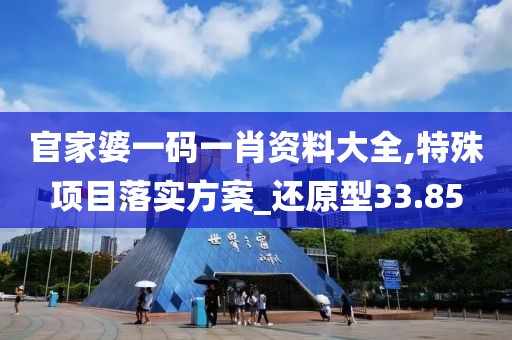官家婆一码一肖资料大全,特殊项目落实方案_还原型33.85