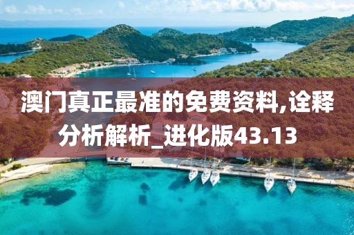 澳门真正最准的免费资料,诠释分析解析_进化版43.13