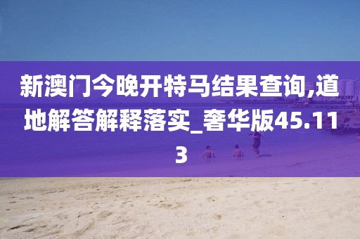 新澳门今晚开特马结果查询,道地解答解释落实_奢华版45.113