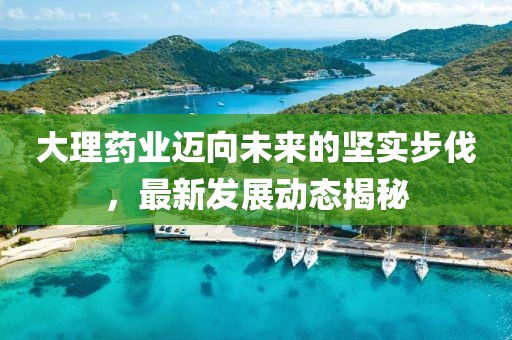 大理药业迈向未来的坚实步伐，最新发展动态揭秘