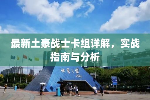 最新土豪战士卡组详解，实战指南与分析