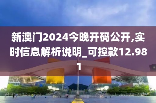 新澳门2024今晚开码公开,实时信息解析说明_可控款12.981