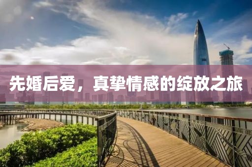 先婚后爱，真挚情感的绽放之旅