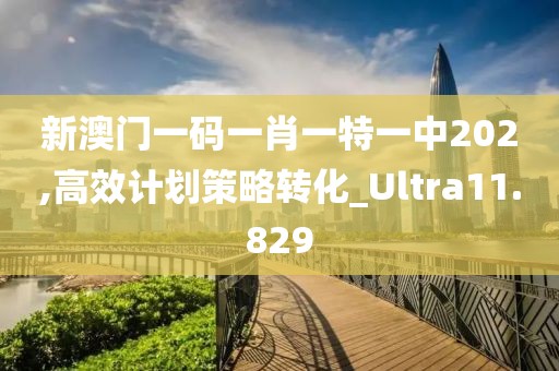 新澳门一码一肖一特一中202,高效计划策略转化_Ultra11.829
