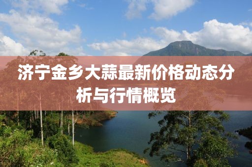 济宁金乡大蒜最新价格动态分析与行情概览
