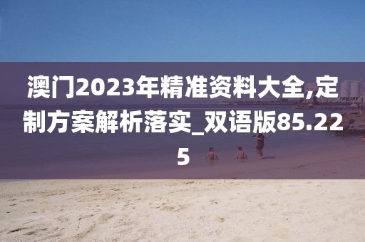 澳门2023年精准资料大全,定制方案解析落实_双语版85.225