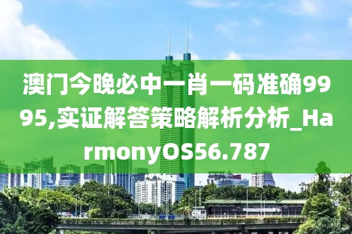澳门今晚必中一肖一码准确9995,实证解答策略解析分析_HarmonyOS56.787
