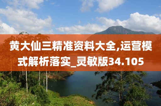黄大仙三精准资料大全,运营模式解析落实_灵敏版34.105