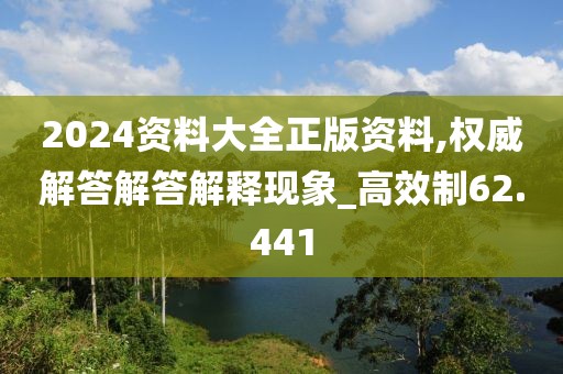 2024资料大全正版资料,权威解答解答解释现象_高效制62.441