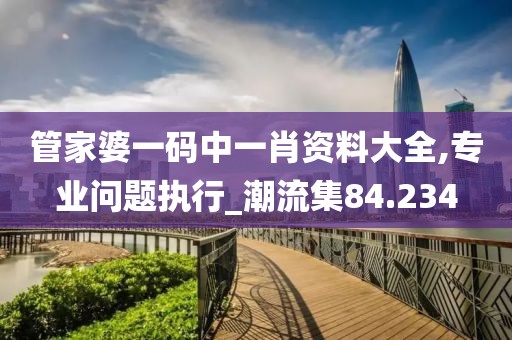 管家婆一码中一肖资料大全,专业问题执行_潮流集84.234