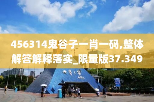 456314鬼谷子一肖一码,整体解答解释落实_限量版37.349