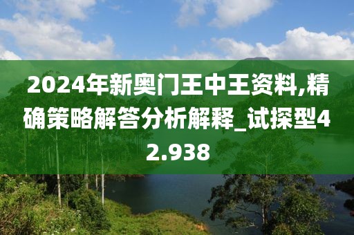 2024年新奥门王中王资料,精确策略解答分析解释_试探型42.938