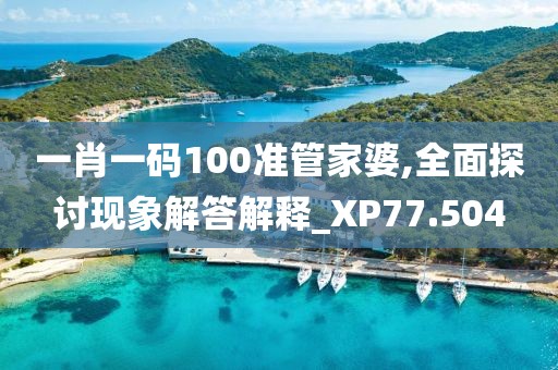 一肖一码100准管家婆,全面探讨现象解答解释_XP77.504