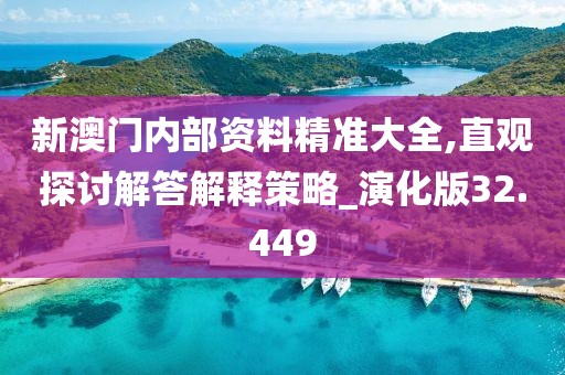 新澳门内部资料精准大全,直观探讨解答解释策略_演化版32.449