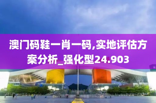 澳门码鞋一肖一码,实地评估方案分析_强化型24.903