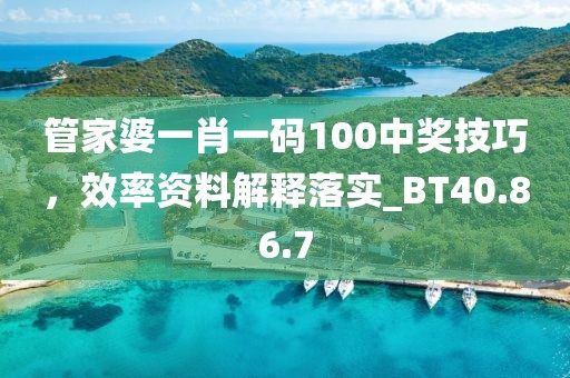 管家婆一肖一码100中奖技巧，效率资料解释落实_BT40.86.7