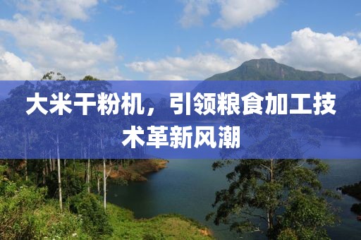 大米干粉机，引领粮食加工技术革新风潮