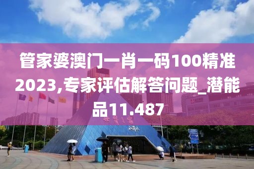 管家婆澳门一肖一码100精准2023,专家评估解答问题_潜能品11.487