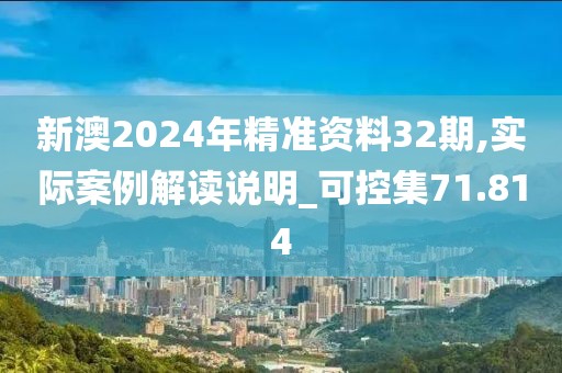 新澳2024年精准资料32期,实际案例解读说明_可控集71.814