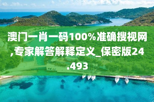 澳门一肖一码100%准确搜视网,专家解答解释定义_保密版24.493