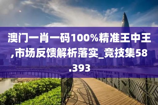 澳门一肖一码100%精准王中王,市场反馈解析落实_竞技集58.393