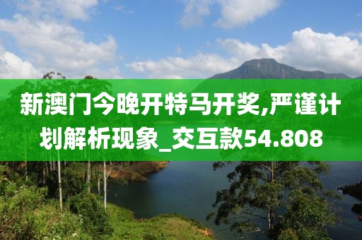 新澳门今晚开特马开奖,严谨计划解析现象_交互款54.808