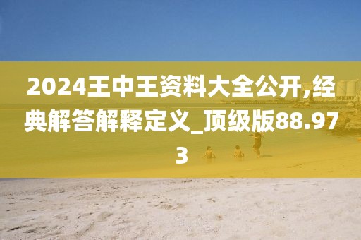2024王中王资料大全公开,经典解答解释定义_顶级版88.973