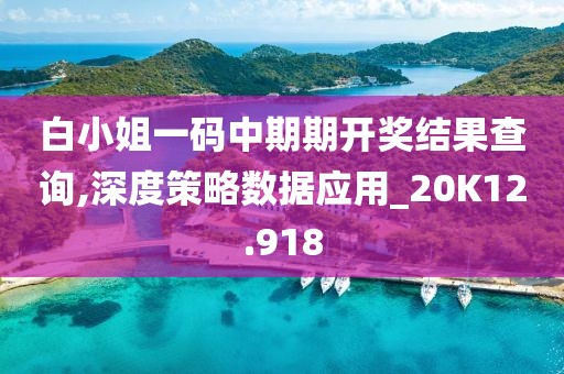 白小姐一码中期期开奖结果查询,深度策略数据应用_20K12.918
