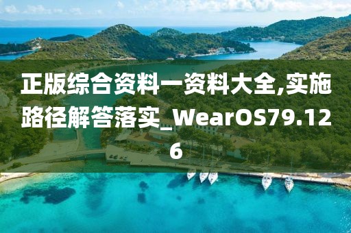 正版综合资料一资料大全,实施路径解答落实_WearOS79.126