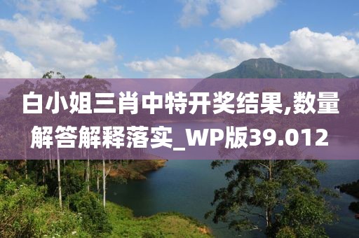 白小姐三肖中特开奖结果,数量解答解释落实_WP版39.012