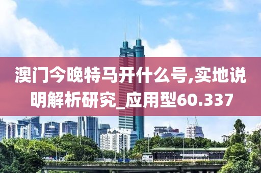 澳门今晚特马开什么号,实地说明解析研究_应用型60.337