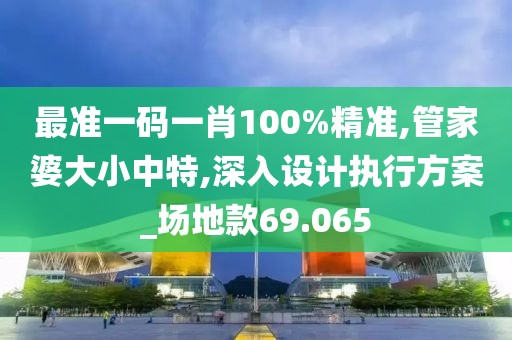 最准一码一肖100%精准,管家婆大小中特,深入设计执行方案_场地款69.065