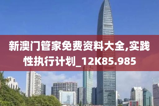 新澳门管家免费资料大全,实践性执行计划_12K85.985