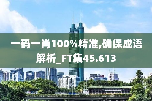 一码一肖100%精准,确保成语解析_FT集45.613