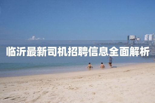 公叔鸿波 第13页