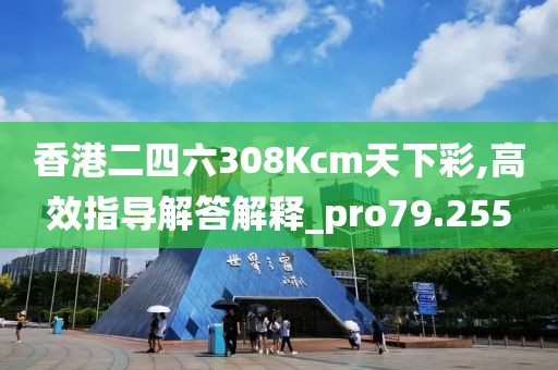 香港二四六308Kcm天下彩,高效指导解答解释_pro79.255