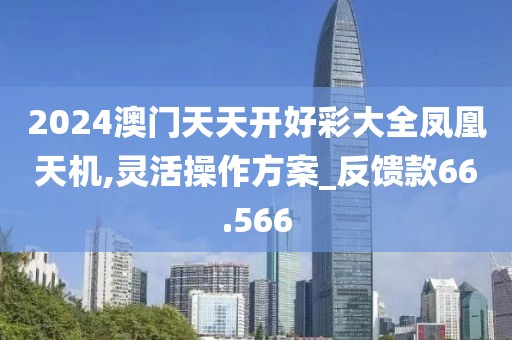 2024澳门天天开好彩大全凤凰天机,灵活操作方案_反馈款66.566
