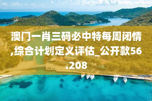 澳门一肖三码必中特每周闭情,综合计划定义评估_公开款56.208