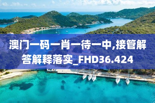 澳门一码一肖一待一中,接管解答解释落实_FHD36.424
