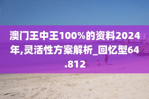 澳门王中王100%的资料2024年,灵活性方案解析_回忆型64.812