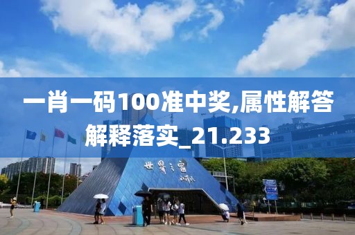 一肖一码100准中奖,属性解答解释落实_21.233