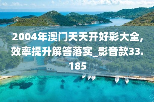 2004年澳门天天开好彩大全,效率提升解答落实_影音款33.185