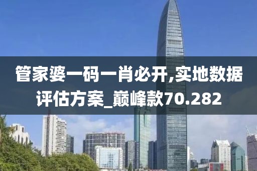 管家婆一码一肖必开,实地数据评估方案_巅峰款70.282